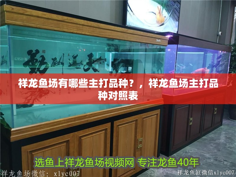 祥龍魚場有哪些主打品種？，祥龍魚場主打品種對照表