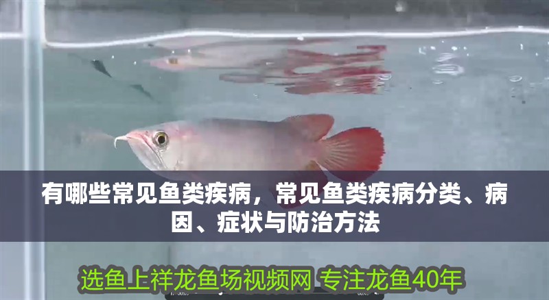 有哪些常見魚類疾病，常見魚類疾病分類、病因、癥狀與防治方法