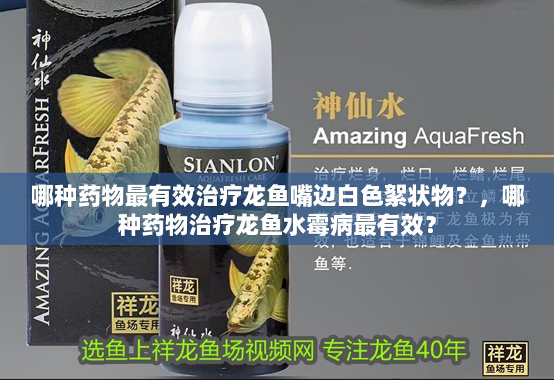 哪種藥物最有效治療龍魚嘴邊白色絮狀物?,哪種藥物治療龍魚水霉病最有效?
