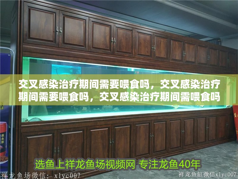 交叉感染治療期間需要喂食嗎，交叉感染治療期間需要喂食嗎，交叉感染治療期間需喂食嗎