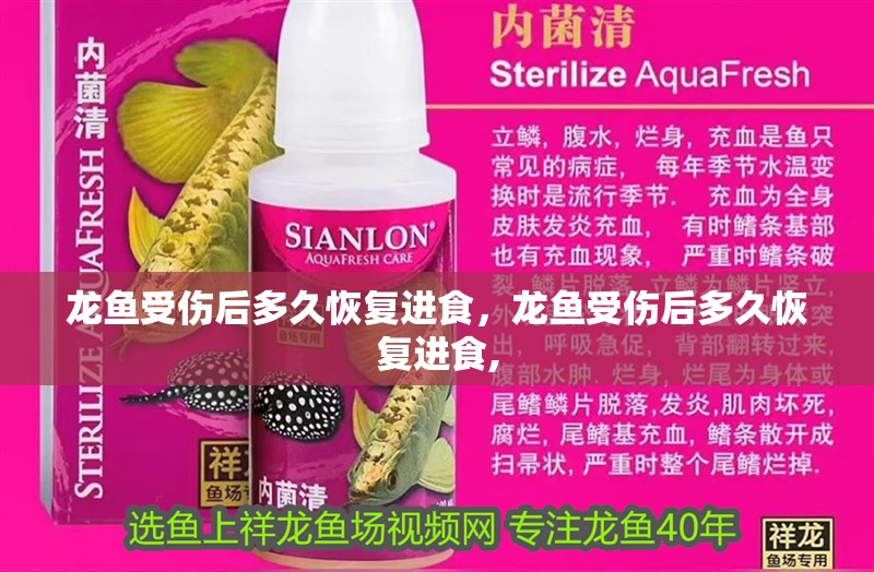 龍魚受傷后多久恢復進食，龍魚受傷后多久恢復進食,