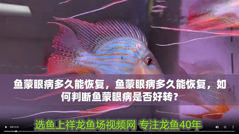 魚蒙眼病多久能恢復，魚蒙眼病多久能恢復，如何判斷魚蒙眼病是否好轉？