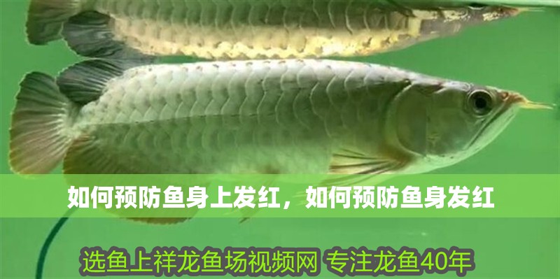 如何預防魚身上發(fā)紅，如何預防魚身發(fā)紅