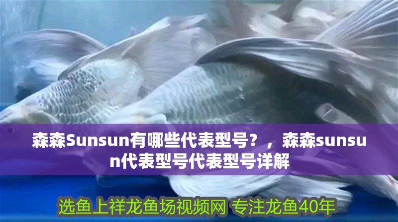 森森Sunsun有哪些代表型號(hào)？，森森sunsun代表型號(hào)代表型號(hào)詳解