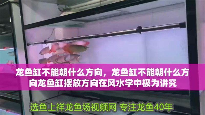 龍魚缸不能朝什么方向，龍魚缸不能朝什么方向龍魚缸擺放方向在風水學中極為講究