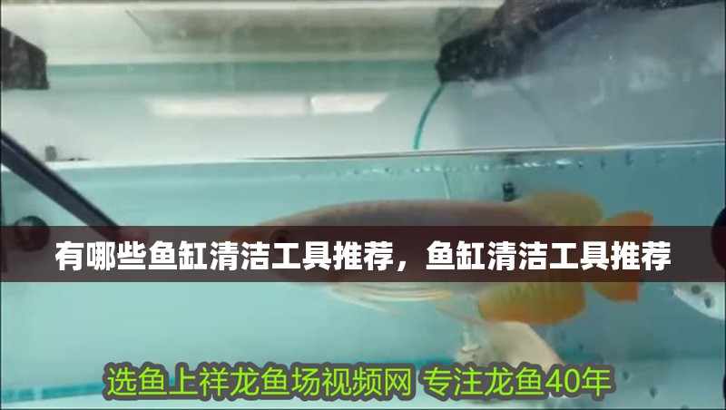 有哪些魚缸清潔工具推薦，魚缸清潔工具推薦