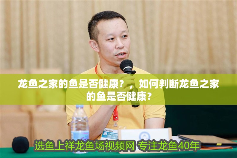龍魚之家的魚是否健康？，如何判斷龍魚之家的魚是否健康？