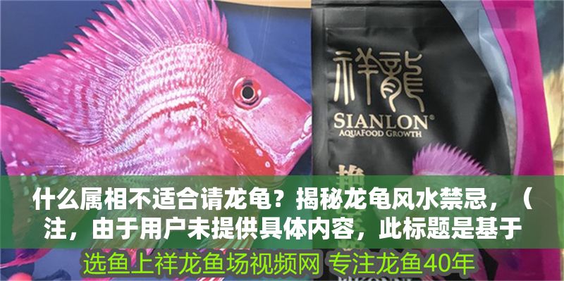 什么屬相不適合請龍龜？揭秘龍龜風(fēng)水禁忌，（注，由于用戶未提供具體內(nèi)容，此標(biāo)題是基于常見風(fēng)水話題生成的示例。若用戶提供相關(guān)內(nèi)容，將據(jù)此生成更精準的標(biāo)題。）
