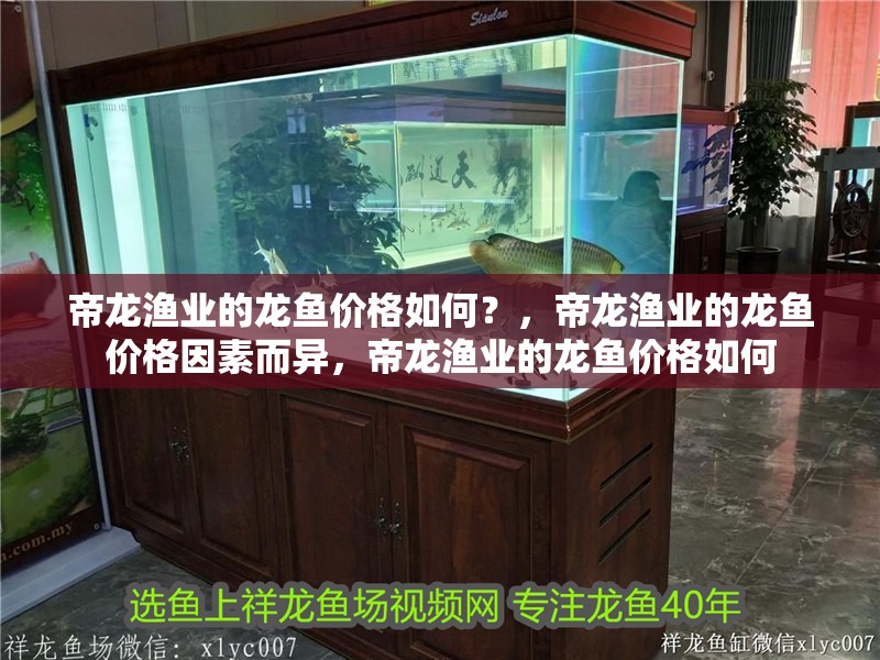 帝龍漁業的龍魚價格如何？，帝龍漁業的龍魚價格因素而異，帝龍漁業的龍魚價格如何