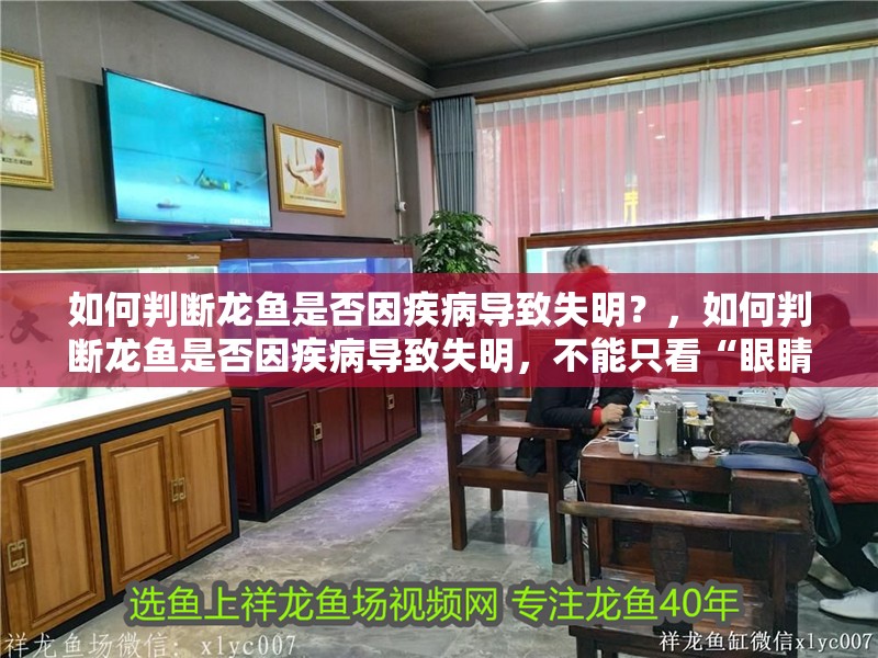 如何判斷龍魚是否因疾病導致失明？，如何判斷龍魚是否因疾病導致失明，不能只看“眼睛渾濁”就下結論