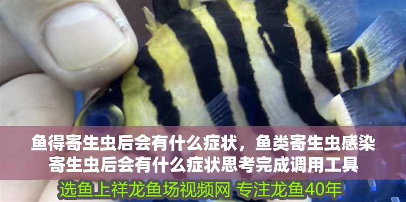 魚得寄生蟲后會有什么癥狀，魚類寄生蟲感染寄生蟲后會有什么癥狀思考完成調用工具
