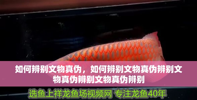 如何辨別文物真?zhèn)危绾伪鎰e文物真?zhèn)伪鎰e文物真?zhèn)伪鎰e文物真?zhèn)伪鎰e