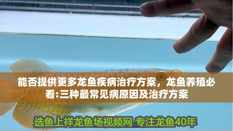 能否提供更多龍魚疾病治療方案,龍魚養殖必看:三種最常見病原因及治療方案