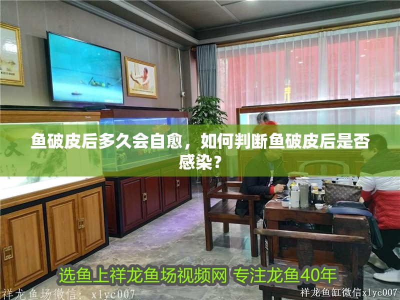 魚破皮后多久會自愈,如何判斷魚破皮后是否感染?