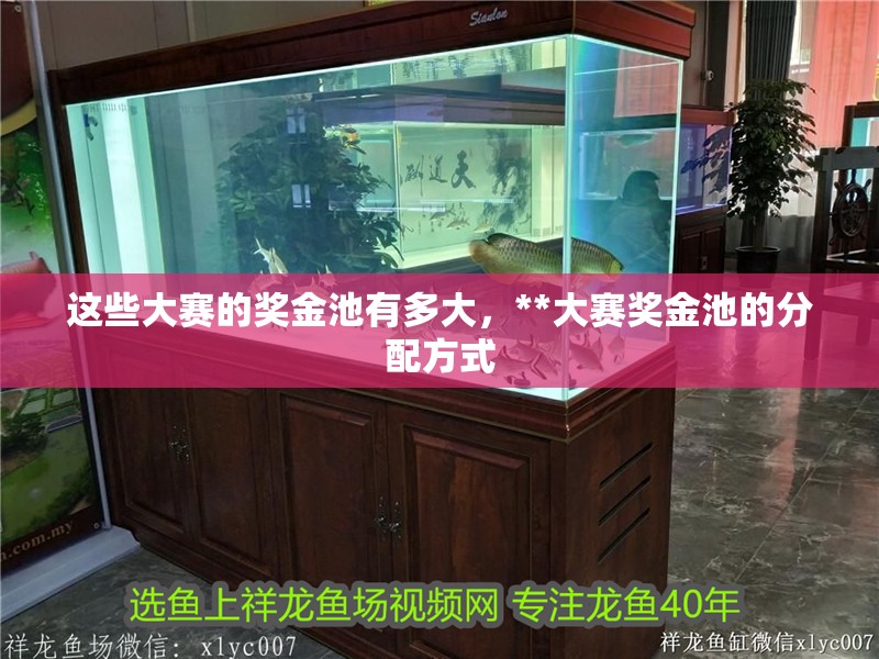 這些大賽的獎金池有多大，**大賽獎金池的分配方式