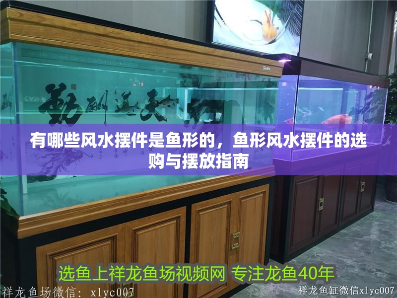 有哪些風水擺件是魚形的，魚形風水擺件的選購與擺放指南
