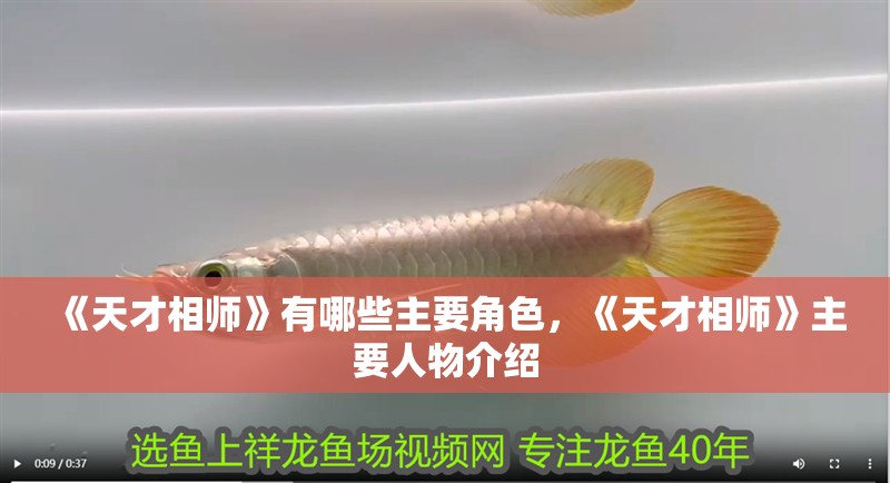 《天才相師》有哪些主要角色，《天才相師》主要人物介紹