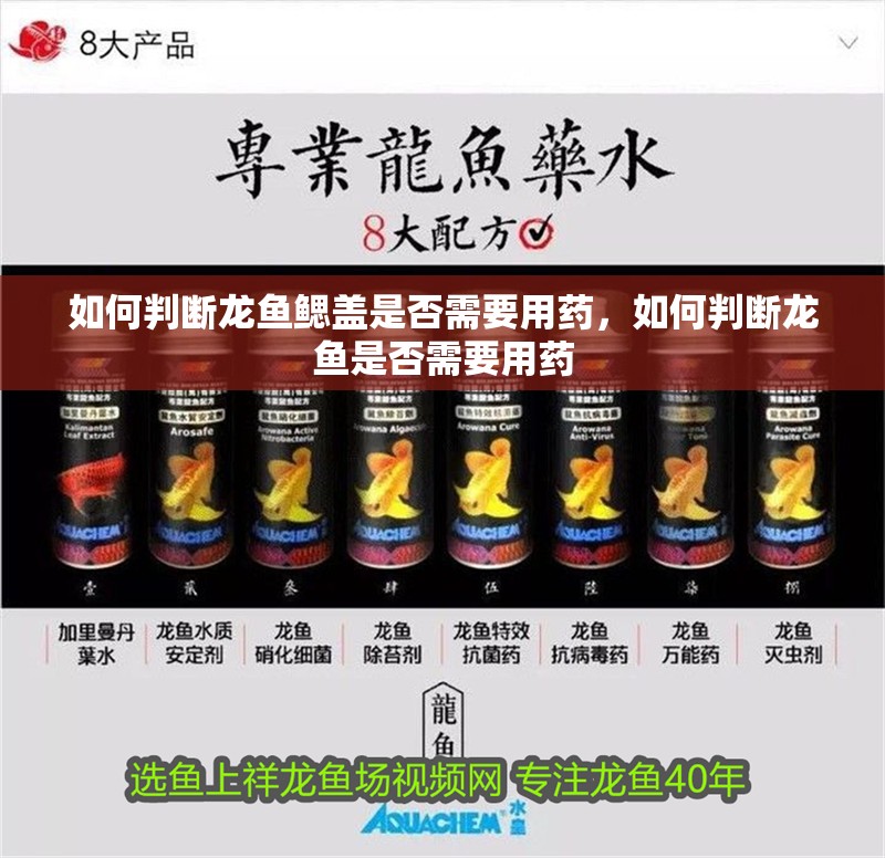 如何判斷龍魚鰓蓋是否需要用藥，如何判斷龍魚是否需要用藥