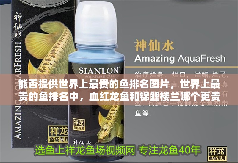 能否提供世界上最貴的魚排名圖片,世界上最貴的魚排名中,血紅龍魚和錦鯉樓蘭哪個更貴