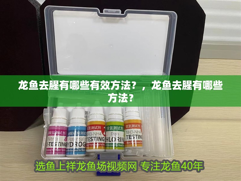 龍魚去腥有哪些有效方法?,龍魚去腥有哪些方法?