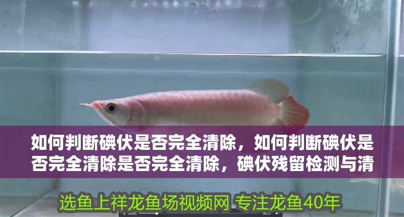 如何判斷碘伏是否完全清除，如何判斷碘伏是否完全清除是否完全清除，碘伏殘留檢測與清除指南