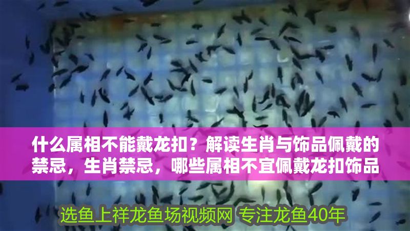 什么屬相不能戴龍扣？解讀生肖與飾品佩戴的禁忌，生肖禁忌，哪些屬相不宜佩戴龍扣飾品？