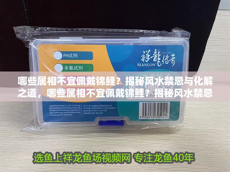 哪些屬相不宜佩戴錦鯉？揭秘風水禁忌與化解之道，哪些屬相不宜佩戴錦鯉？揭秘風水禁忌與化解之道 哪些屬相不宜佩戴錦鯉？揭秘風水禁忌與化解之道，哪些屬相不宜佩戴錦鯉？揭秘風水禁忌與化解之道 龍魚百科 第1張