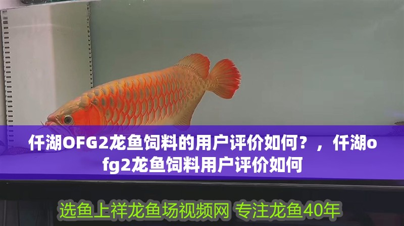 仟湖OFG2龍魚飼料的用戶評價如何？，仟湖ofg2龍魚飼料用戶評價如何