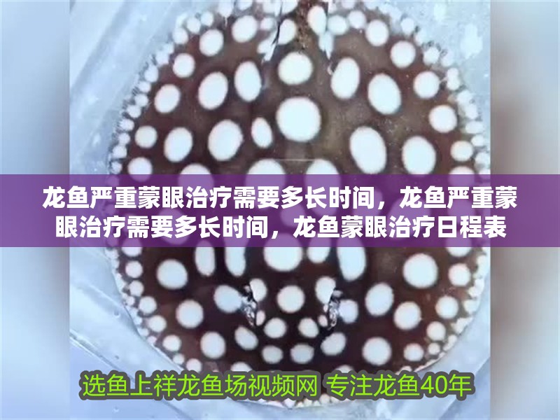 龍魚嚴重蒙眼治療需要多長時間，龍魚嚴重蒙眼治療需要多長時間，龍魚蒙眼治療日程表