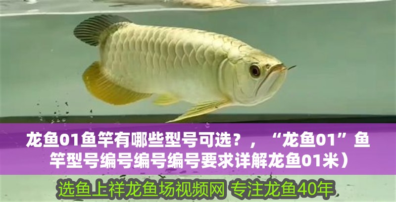 龍魚01魚竿有哪些型號可選？，“龍魚01”魚竿型號編號編號編號要求詳解龍魚01米）