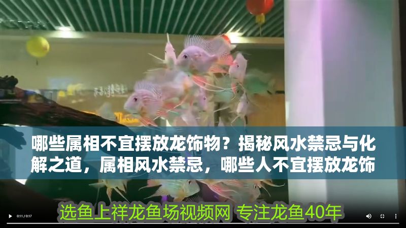 哪些屬相不宜擺放龍飾物？揭秘風水禁忌與化解之道，屬相風水禁忌，哪些人不宜擺放龍飾物及化解方法