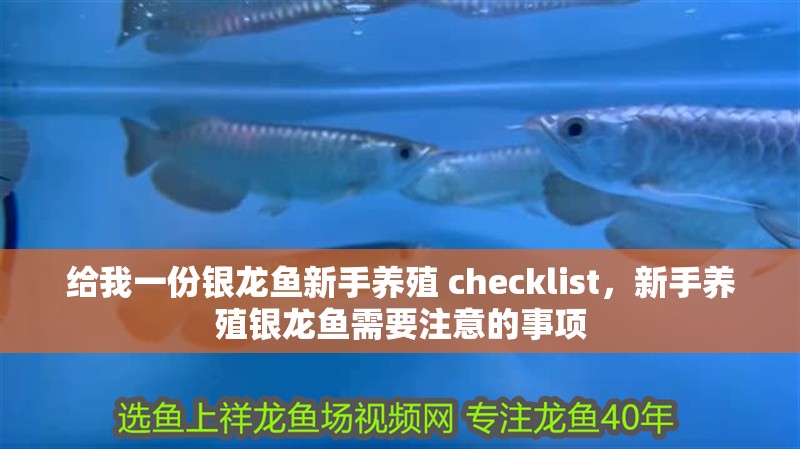 給我一份銀龍魚新手養殖 checklist，新手養殖銀龍魚需要注意的事項