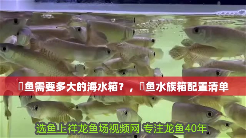 魟魚需要多大的海水箱？，魟魚水族箱配置清單