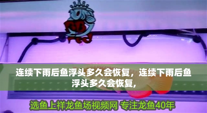 連續(xù)下雨后魚浮頭多久會(huì)恢復(fù)，連續(xù)下雨后魚浮頭多久會(huì)恢復(fù),