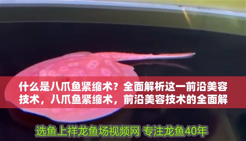 什么是八爪魚(yú)緊縮術(shù)？全面解析這一前沿美容技術(shù)，八爪魚(yú)緊縮術(shù)，前沿美容技術(shù)的全面解析