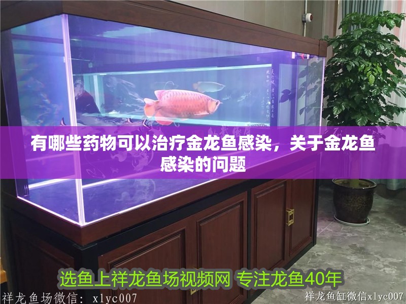 有哪些藥物可以治療金龍魚感染，關于金龍魚感染的問題