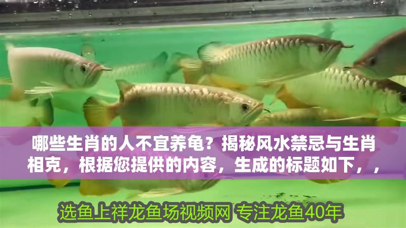 哪些生肖的人不宜養(yǎng)龜？揭秘風(fēng)水禁忌與生肖相克，根據(jù)您提供的內(nèi)容，生成的標題如下，，生肖養(yǎng)龜風(fēng)水禁忌，這幾類屬相需避開，小心運勢相克！