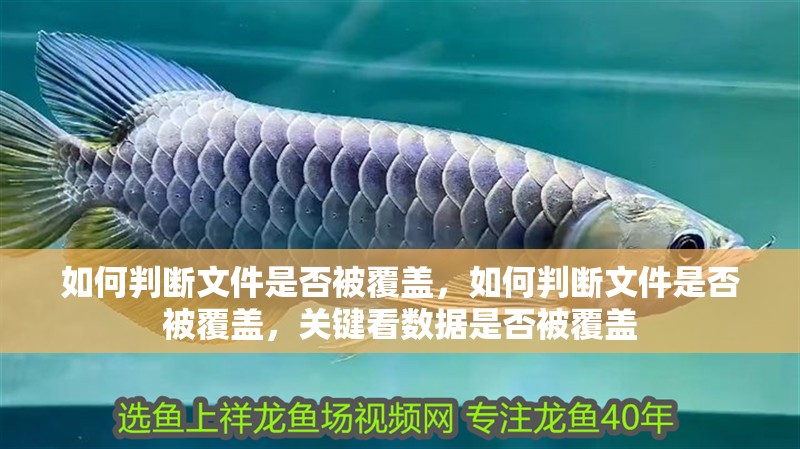 如何判斷文件是否被覆蓋，如何判斷文件是否被覆蓋，關鍵看數據是否被覆蓋