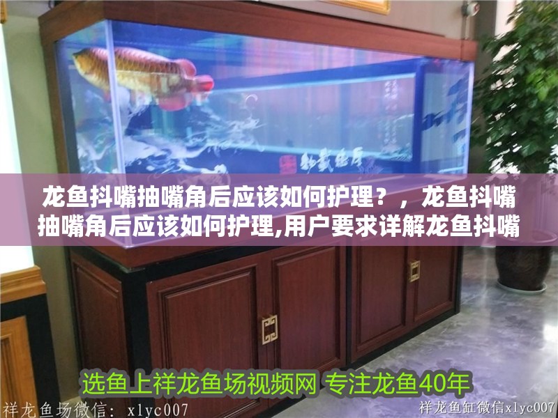 龍魚抖嘴抽嘴角后應該如何護理？，龍魚抖嘴抽嘴角后應該如何護理,用戶要求詳解龍魚抖嘴抽嘴角后的護理方法