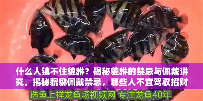 什么人鎮(zhèn)不住貔貅？揭秘貔貅的禁忌與佩戴講究，揭秘貔貅佩戴禁忌，哪些人不宜駕馭招財神獸？