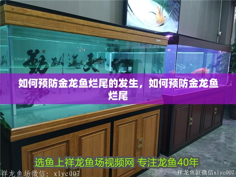 如何預防金龍魚爛尾的發生，如何預防金龍魚爛尾