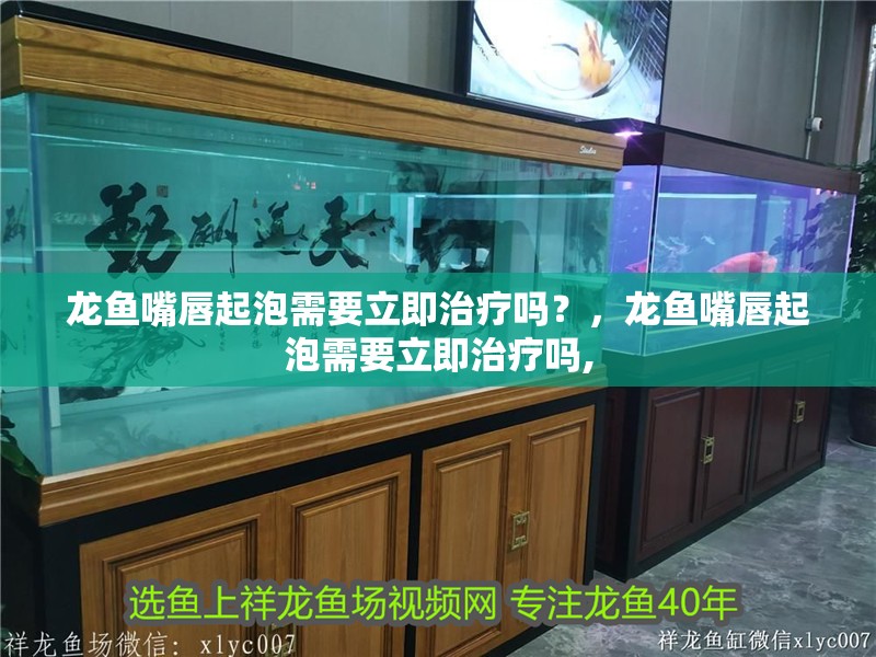 龍魚嘴唇起泡需要立即治療嗎？，龍魚嘴唇起泡需要立即治療嗎,