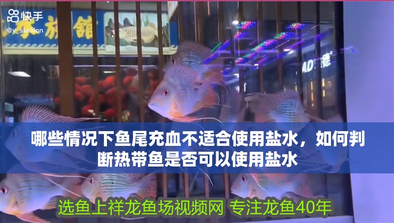 哪些情況下魚尾充血不適合使用鹽水，如何判斷熱帶魚是否可以使用鹽水