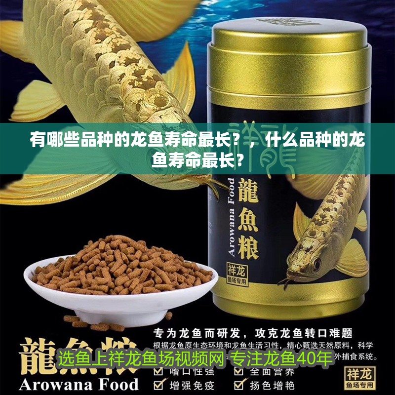 有哪些品種的龍魚壽命最長？，什么品種的龍魚壽命最長？