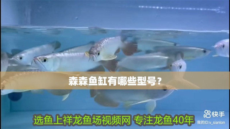 森森魚缸有哪些型號？