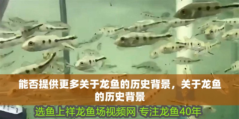 能否提供更多關于龍魚的歷史背景，關于龍魚的歷史背景