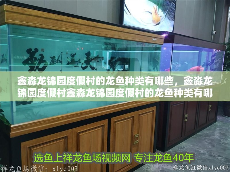 鑫淼龍錦園度假村的龍魚種類有哪些，鑫淼龍錦園度假村鑫淼龍錦園度假村的龍魚種類有哪些