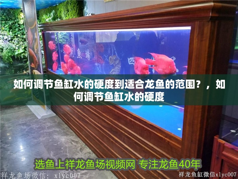如何調節魚缸水的硬度到適合龍魚的范圍？，如何調節魚缸水的硬度