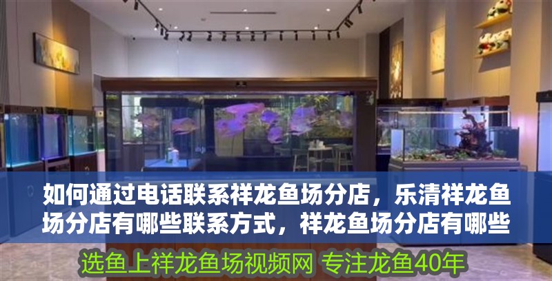 如何通過電話聯系祥龍魚場分店，樂清祥龍魚場分店有哪些聯系方式，祥龍魚場分店有哪些聯系方式