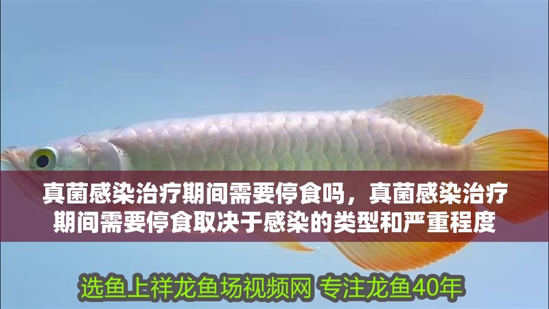 真菌感染治療期間需要停食嗎，真菌感染治療期間需要停食取決于感染的類型和嚴(yán)重程度